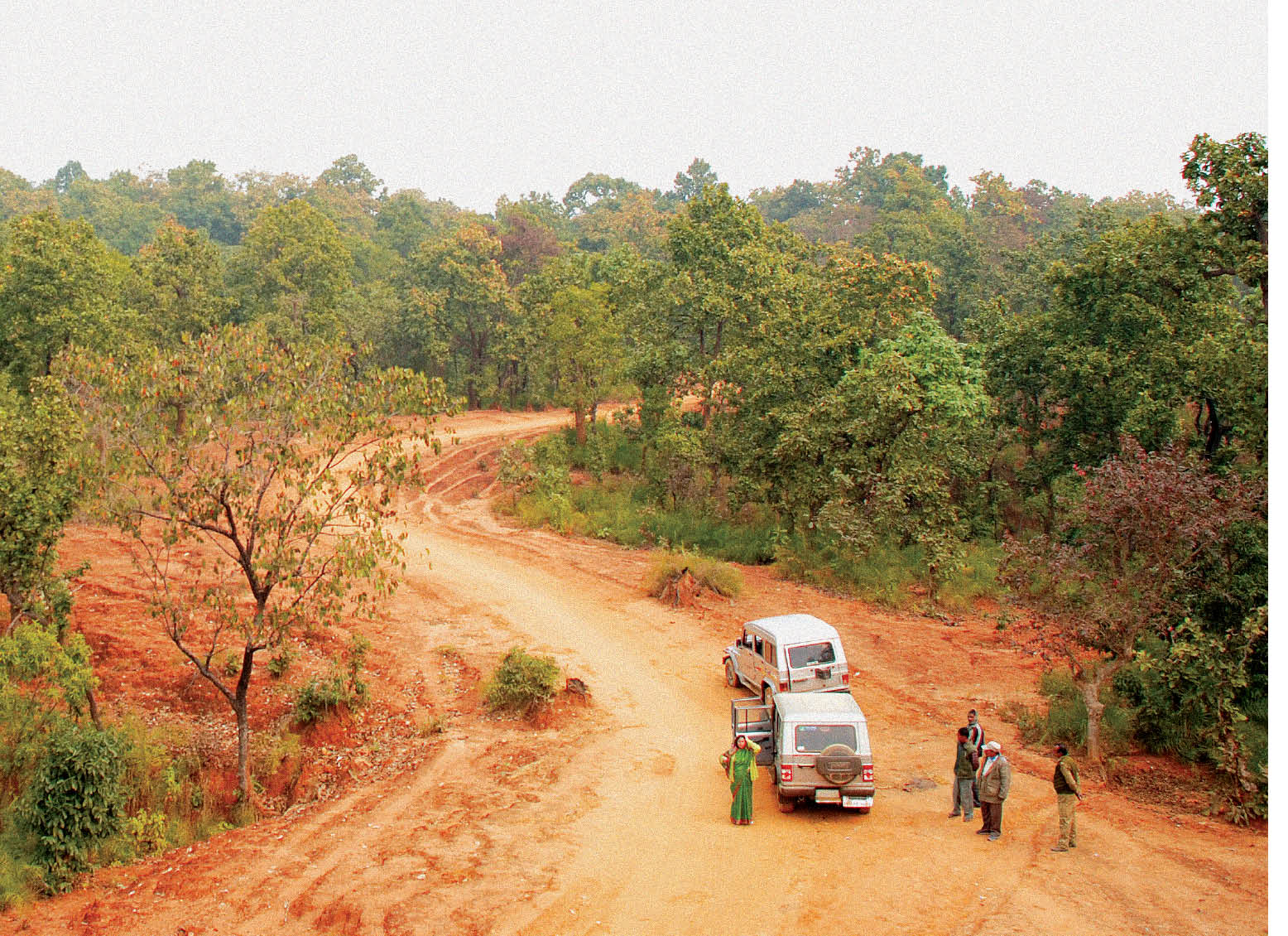 The State of India's Forest